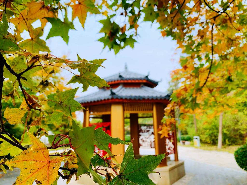 开元棋牌官网