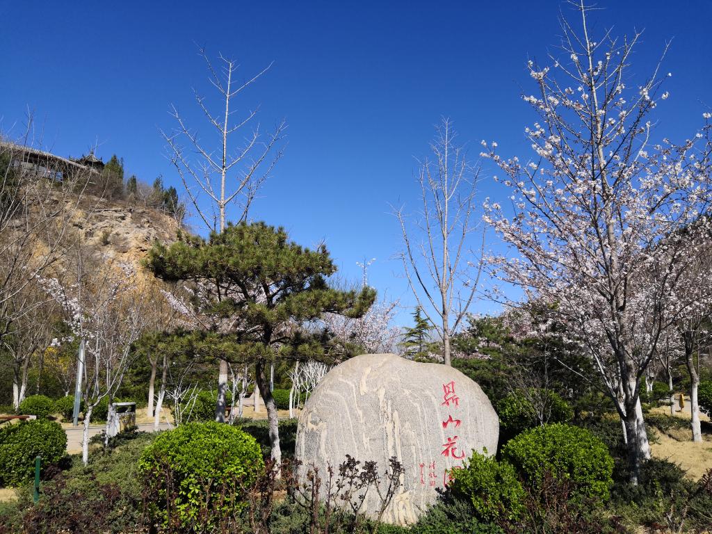 开元棋牌官网
